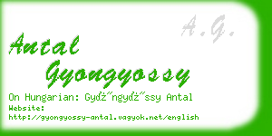 antal gyongyossy business card